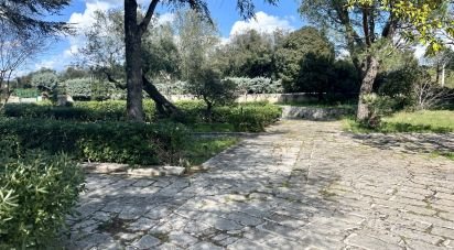 Costruzione di 800 m² in Ostuni (72017)