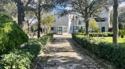 Costruzione di 800 m² in Ostuni (72017)