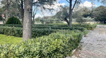 Costruzione di 800 m² in Ostuni (72017)