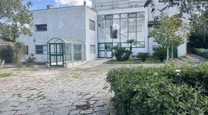 Costruzione di 800 m² in Ostuni (72017)