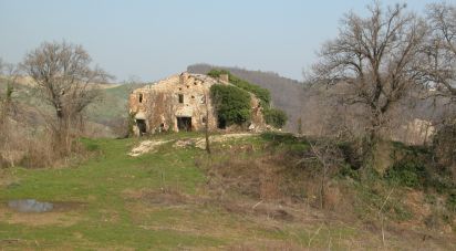 Rustico 11 locali di 430 m² in Rotella (63071)