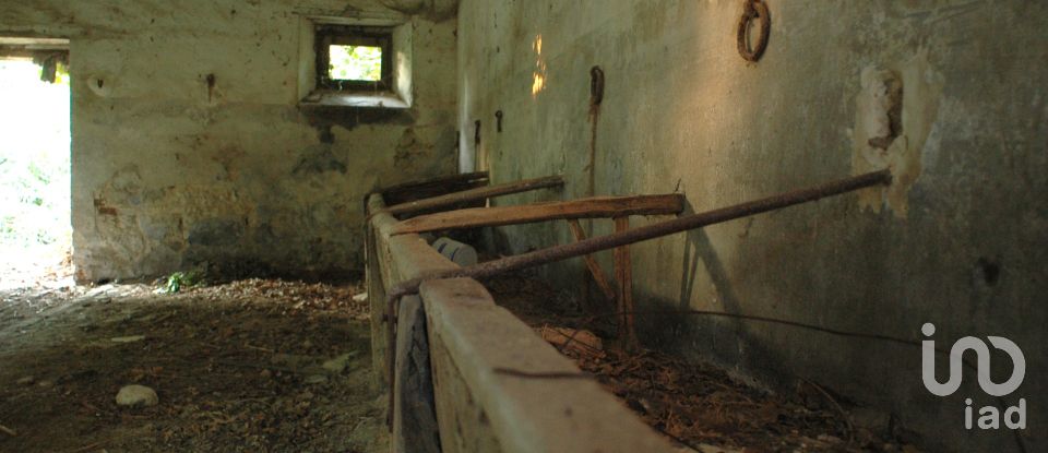 Rustico 11 locali di 430 m² in Rotella (63071)