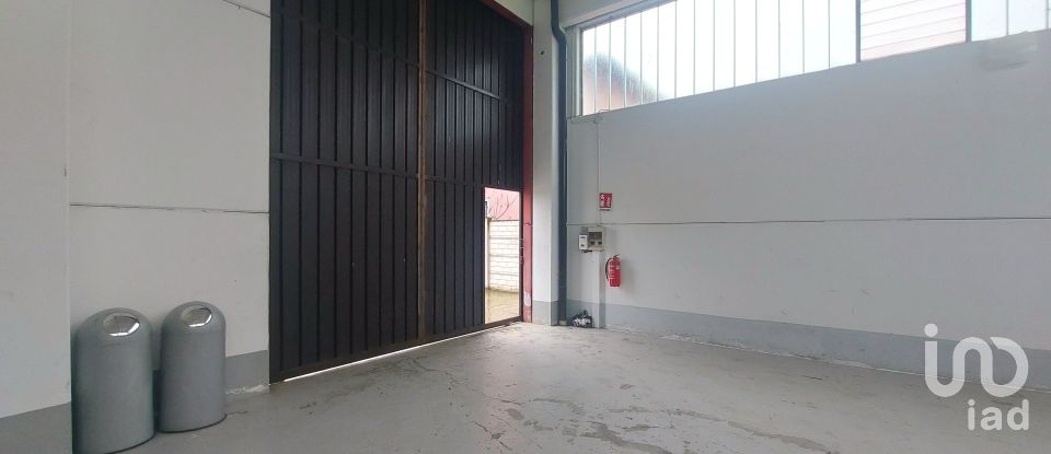 Warehouse of 100 m² in Alessandria (15122)
