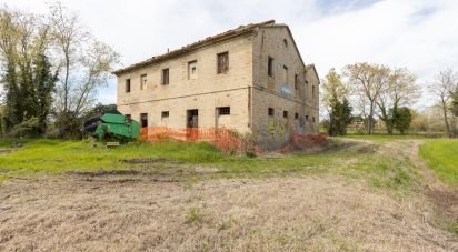 House 0 rooms of 250 m² in Camerano (60021)