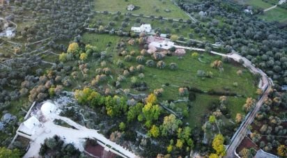 Terreno di 17.215 m² in Ostuni (72017)