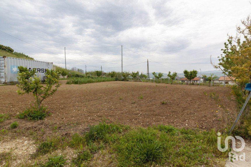 Land of 15,000 m² in Roseto degli Abruzzi (64026)