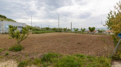 Terreno di 15.000 m² in Roseto degli Abruzzi (64026)