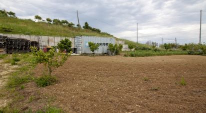 Terreno di 15.000 m² in Roseto degli Abruzzi (64026)