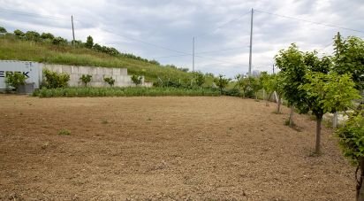 Terreno di 15.000 m² in Roseto degli Abruzzi (64026)