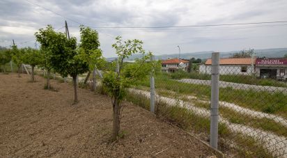 Terreno di 15.000 m² in Roseto degli Abruzzi (64026)