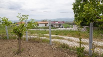 Terreno di 15.000 m² in Roseto degli Abruzzi (64026)