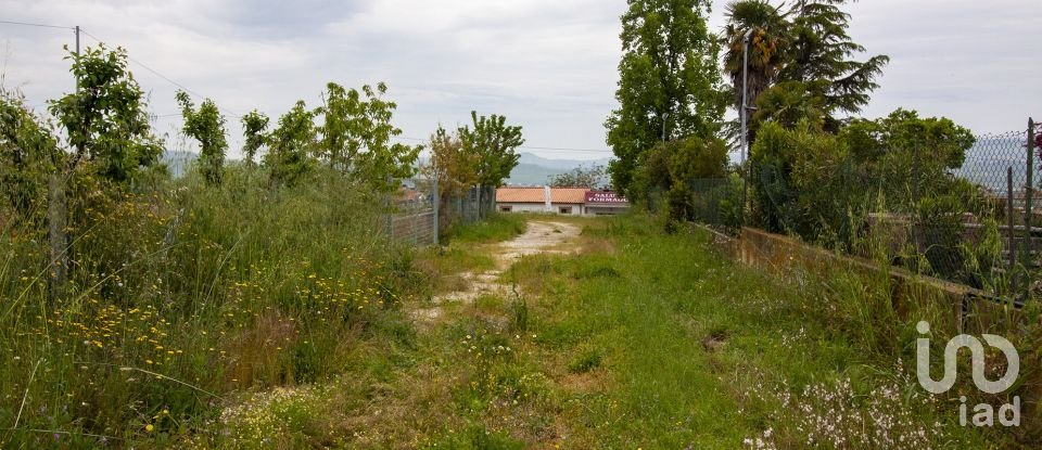 Land of 15,000 m² in Roseto degli Abruzzi (64026)