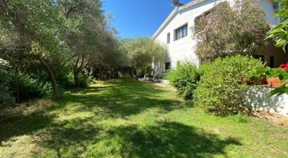 Townhouse 20 rooms of 514 m² in Padru (07020)