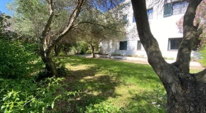 Townhouse 20 rooms of 514 m² in Padru (07020)