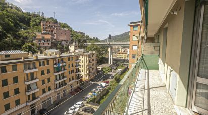Appartamento 6 locali di 96 m² a Genova (16162)
