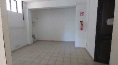 Varie superfici di 240 m² in Amantea (87032)