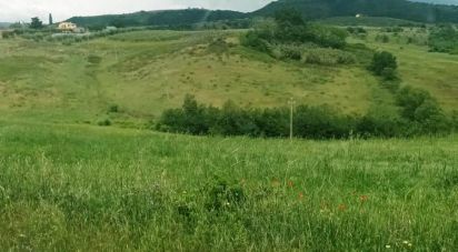 Land of 240,000 m² in Scansano (58054)