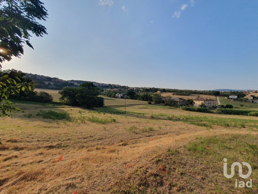 Land of 30,000 m² in Castelfidardo (60022)