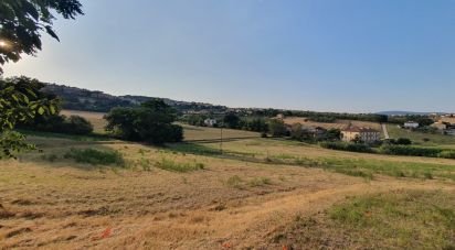 Land of 30,000 m² in Castelfidardo (60022)