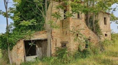 Land of 30,000 m² in Castelfidardo (60022)