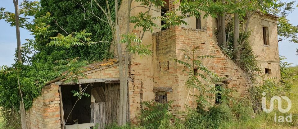 Terreno di 30.000 m² in Castelfidardo (60022)