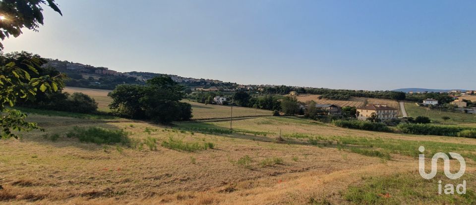 Terreno di 30.000 m² in Castelfidardo (60022)