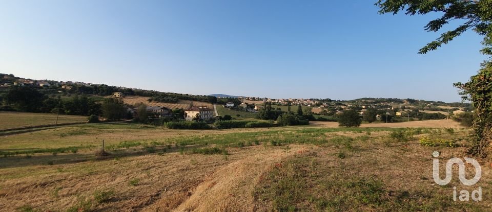 Terreno di 30.000 m² in Castelfidardo (60022)