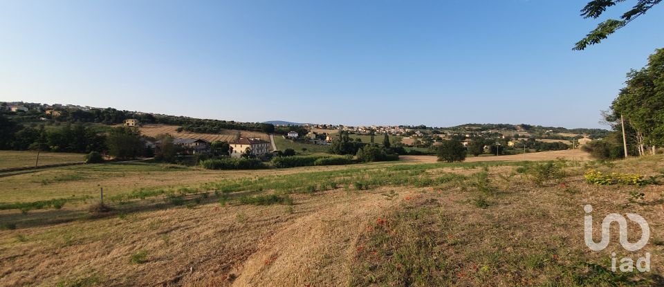 Terreno di 30.000 m² in Castelfidardo (60022)