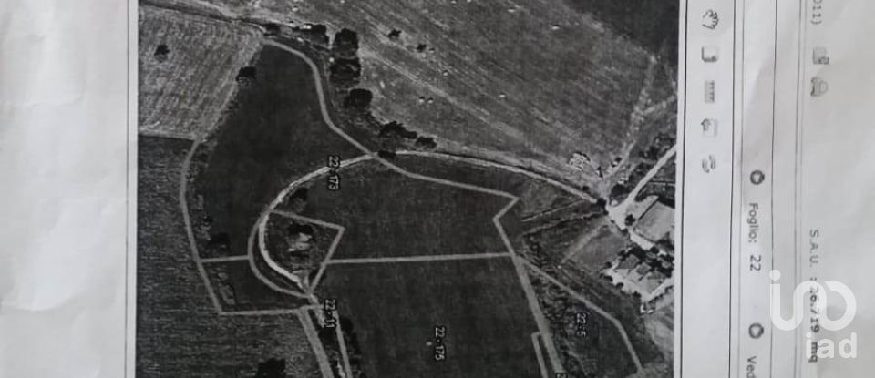 Terreno di 30.000 m² in Castelfidardo (60022)