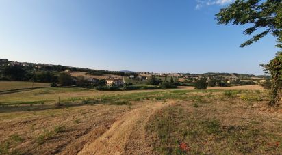 Land of 30,000 m² in Castelfidardo (60022)