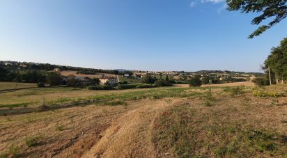 Land of 30,000 m² in Castelfidardo (60022)