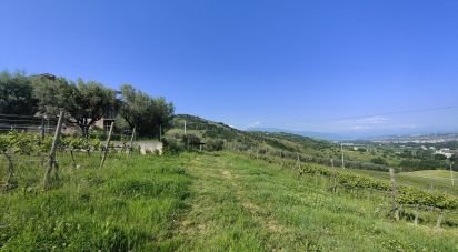 Rustico 0 locali di 400 m² in Controguerra (64010)