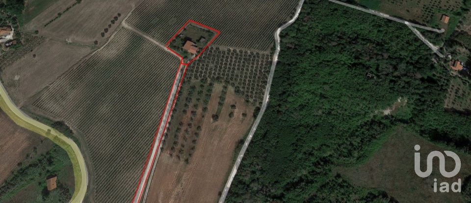 Rustico 0 locali di 400 m² in Controguerra (64010)