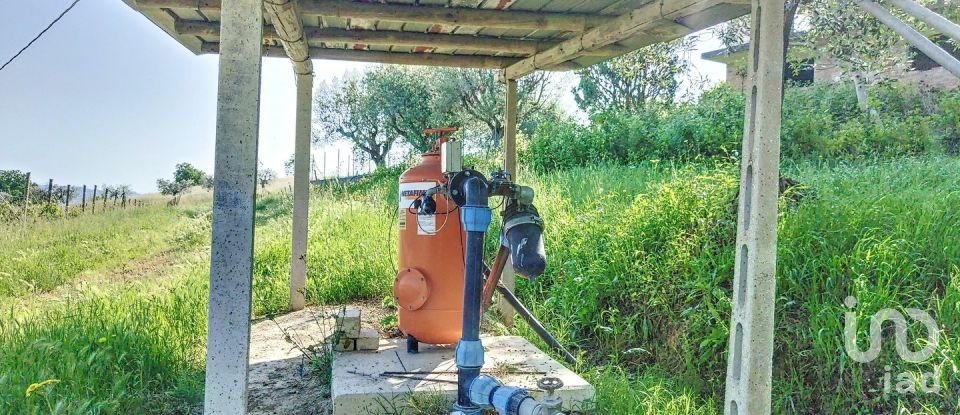 Rustico 0 locali di 400 m² in Controguerra (64010)