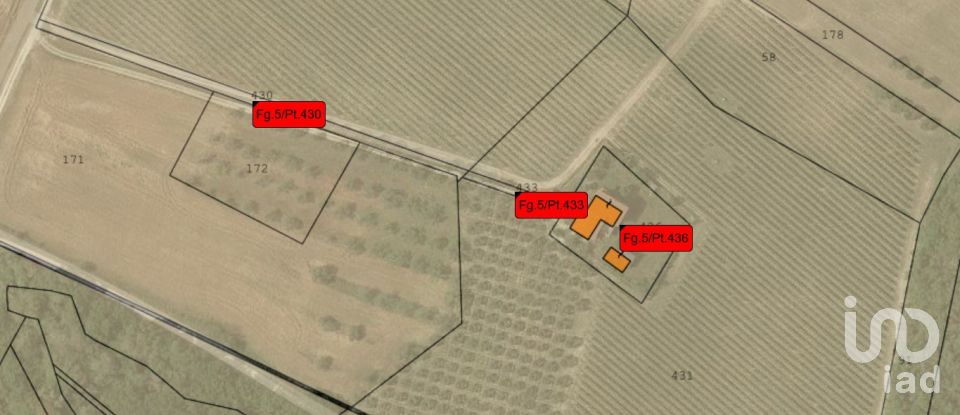 Rustico 0 locali di 400 m² in Controguerra (64010)