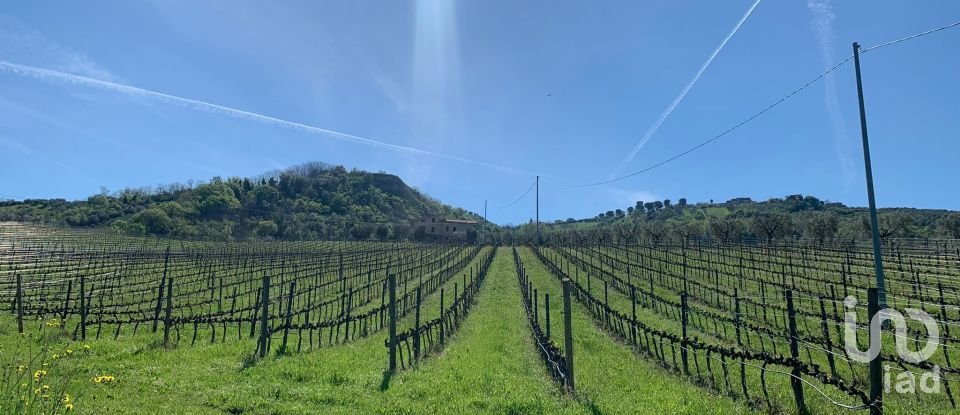 Rustico 0 locali di 400 m² in Controguerra (64010)