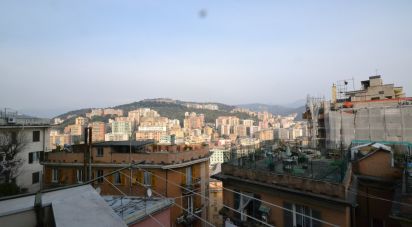 Appartamento 6 locali di 79 m² a Genova (16137)