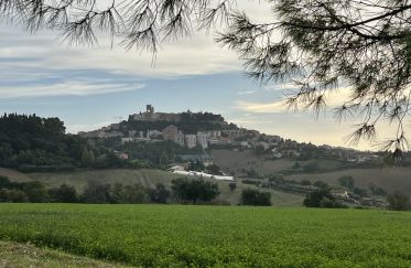 Land of 2,200 sq m in Osimo (60027)