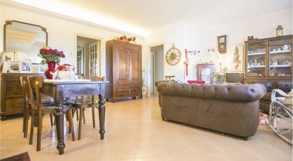 Apartment 5 rooms of 124 sq m in Recanati (62019)