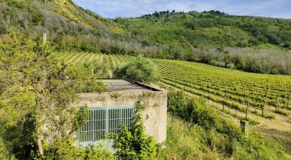 Rustico 0 locali di 400 m² in Controguerra (64010)