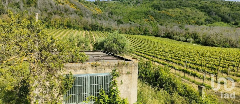 Rustico 0 locali di 400 m² in Controguerra (64010)