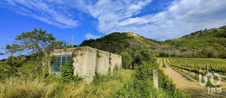 Rustico 0 locali di 400 m² in Controguerra (64010)