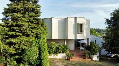 Casale 16 locali di 453 m² in Martina Franca (74015)