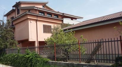 Farm 14 rooms of 600 m² in Castrovillari (87012)