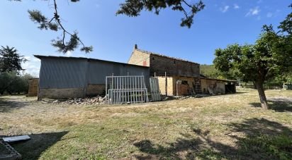 Casa indipendente / Villa 10 locali di 350 m² in Monte San Pietrangeli (63816)