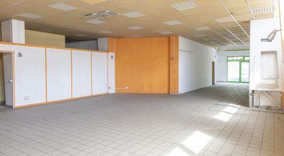 Shop / premises commercial of 330 sq m in Ancona (60131)