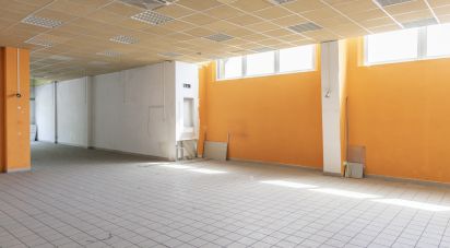 Shop / premises commercial of 330 sq m in Ancona (60131)