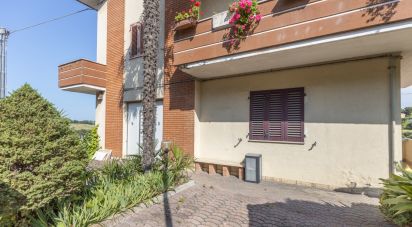 Apartment 7 rooms of 120 m² in Castelleone di Suasa (60010)