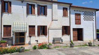Casa 4 locali di 250 m² in Arquà Polesine (45031)