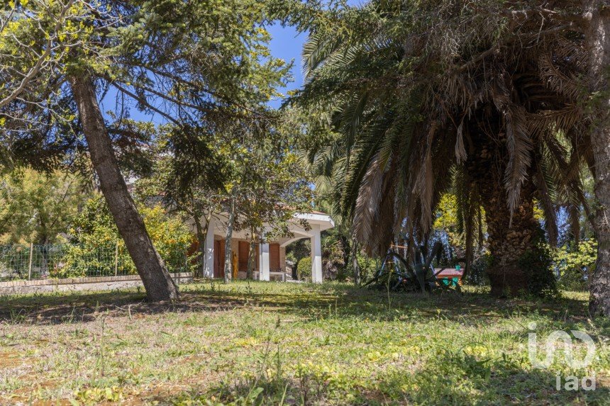 Casale 21 locali di 600 m² in Senigallia (60019)